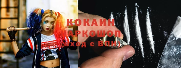 стаф Арсеньев