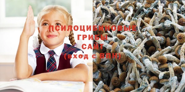 стаф Арсеньев