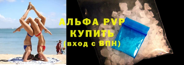стаф Арсеньев