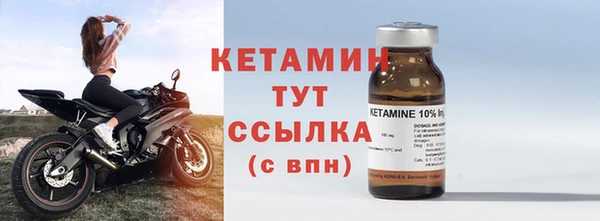 стаф Арсеньев
