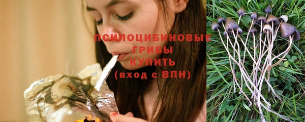 таблы Армянск