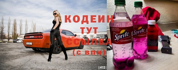 стаф Арсеньев