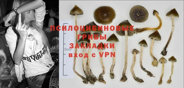 не бодяженный Аркадак