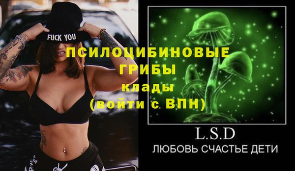 стаф Арсеньев