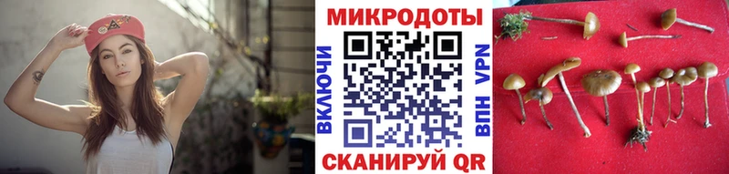OMG ТОР  Белово  Псилоцибиновые грибы Cubensis 